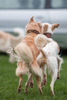 best friends : Sira und Etienne